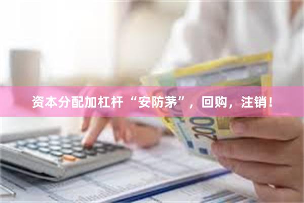 资本分配加杠杆 “安防茅”，回购，注销！