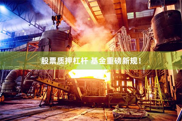 股票质押杠杆 基金重磅新规！