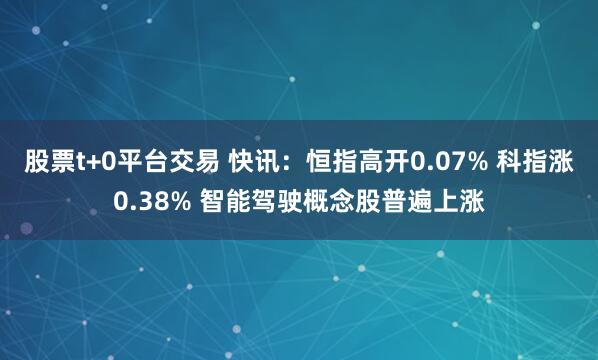 股票t+0平台交易 快讯：恒指高开0.07% 科指涨0.38% 智能驾驶概念股普遍上涨