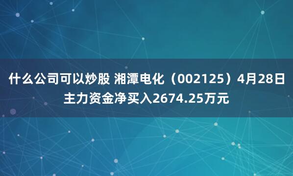 什么公司可以炒股 湘潭电化（002125）4月28日主力资金净买入2674.25万元