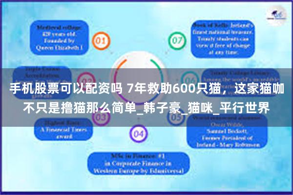 手机股票可以配资吗 7年救助600只猫，这家猫咖不只是撸猫那么简单_韩子豪_猫咪_平行世界