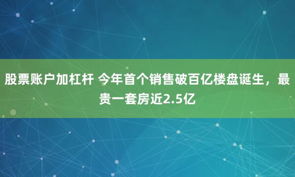 股票账户加杠杆 今年首个销售破百亿楼盘诞生，最贵一套房近2.5亿