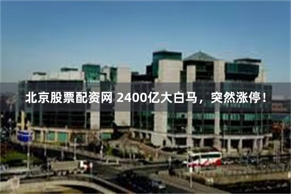 北京股票配资网 2400亿大白马，突然涨停！