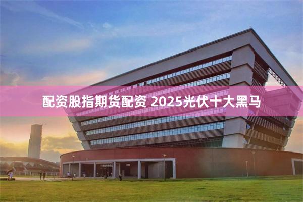配资股指期货配资 2025光伏十大黑马