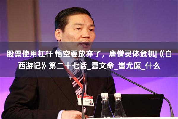 股票使用杠杆 悟空要放弃了，唐僧灵体危机|《白西游记》第二十七话_夏文命_蚩尤魔_什么