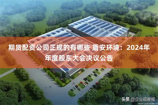期货配资公司正规的有哪些 盾安环境：2024年年度股东大会决议公告