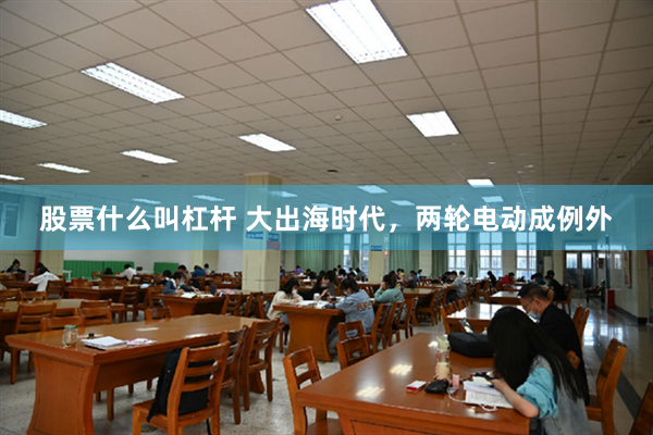 股票什么叫杠杆 大出海时代，两轮电动成例外